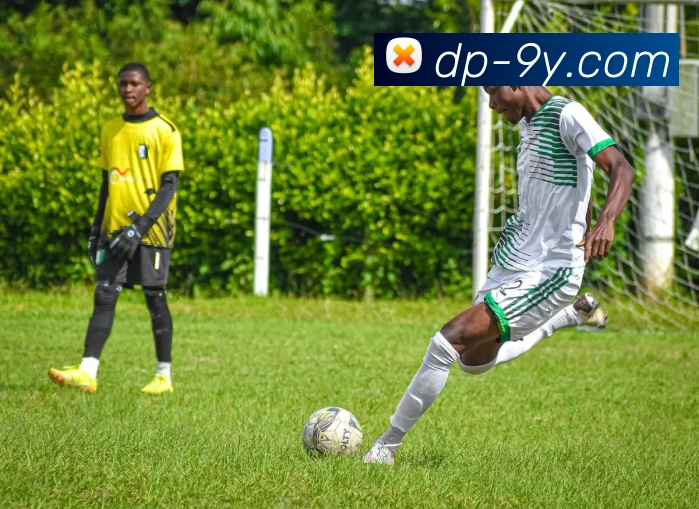 九游官网APP 封面图